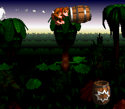 Barrel Cannon Canyon.png