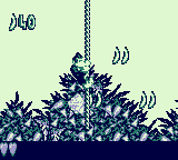 Congo Carnage.png