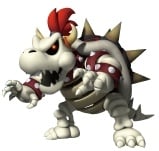 Dry Bowser MSOWG.jpg