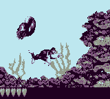 Nautilus Chase.png