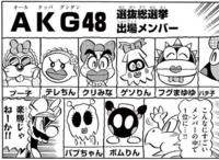 AKG48.png