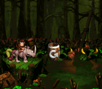 Barrel Bayou (DKC2).png