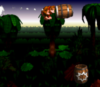 Barrel Cannon Canyon.png