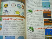 Big Bertha SMB3 Technique Book 4 name ref.jpg