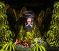 Thumbnail for version as of 00:21, May 30, 2025