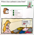 A Mario Quiz Card about cashmeres