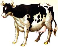 Cow OoT artwork.jpg
