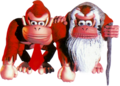 Donkey Kong Country
