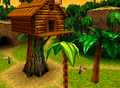 Donkey Kong 64