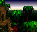 Donkey Kong Country