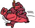 Donkey Kong Jr.