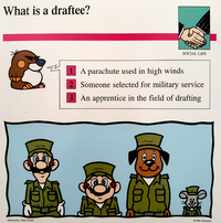 Draftee Mario Quiz Card.png