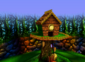 Donkey Kong 64