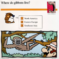 A Mario Quiz Card asking where gibbons live