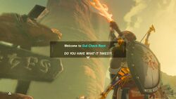 Gut Check Rock.jpg
