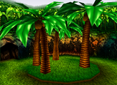 Palm trees