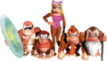 Donkey Kong Country.