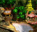 Donkey Kong Country
