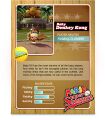 Mario Super Sluggers
