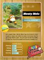Mario Super Sluggers trading card (back)