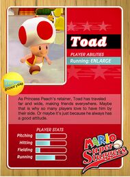 Level1 Toad Back.jpg