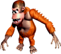 Donkey Kong Country