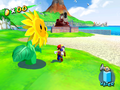 Super Mario Sunshine