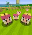 The Midbus pigs.