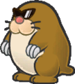 Super Paper Mario (unused)