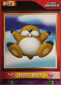 NSMBWiiTC-36-Front.png