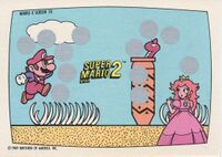 Nintendo Game Pack SMB2 Scratch-off card 10.jpg