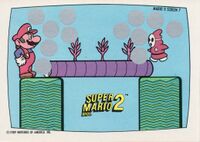 Nintendo Game Pack SMB2 Scratch-off card 7.jpg