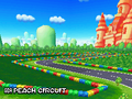 Peach CircuitDS.PNG