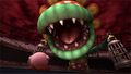 'Super Smash Bros. Brawl