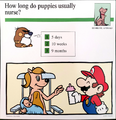 A Mario Quiz Card asking how long puppies usually nurse