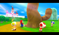 Toads