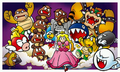 Super Mario 3D Land (photo)