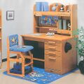 Chair, desk, and rug