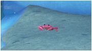 A magenta crab in Super Mario Odyssey in the Lakeside Kingdom