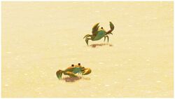 SMO Crab orange.jpg