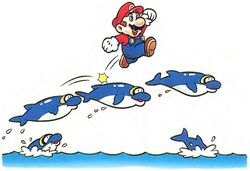 SMW Dolphins.jpg