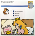 A Mario Quiz Card asking what a scribe is