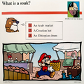 A Mario Quiz Card asking what a souk is