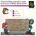 A Mario Quiz Card asking which building material is made from thinly-sliced wood