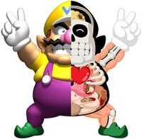 Wariobody.jpg