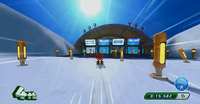 Knuckles using the skis equipment
