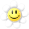 YCW Smiley Flower.png