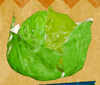 YMCcraft27.png